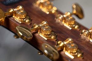 Купить новую гитару Cort Gold-A6 Bocote